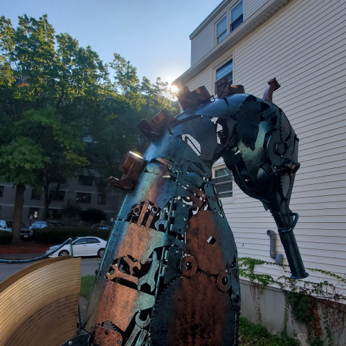 20231005_093815